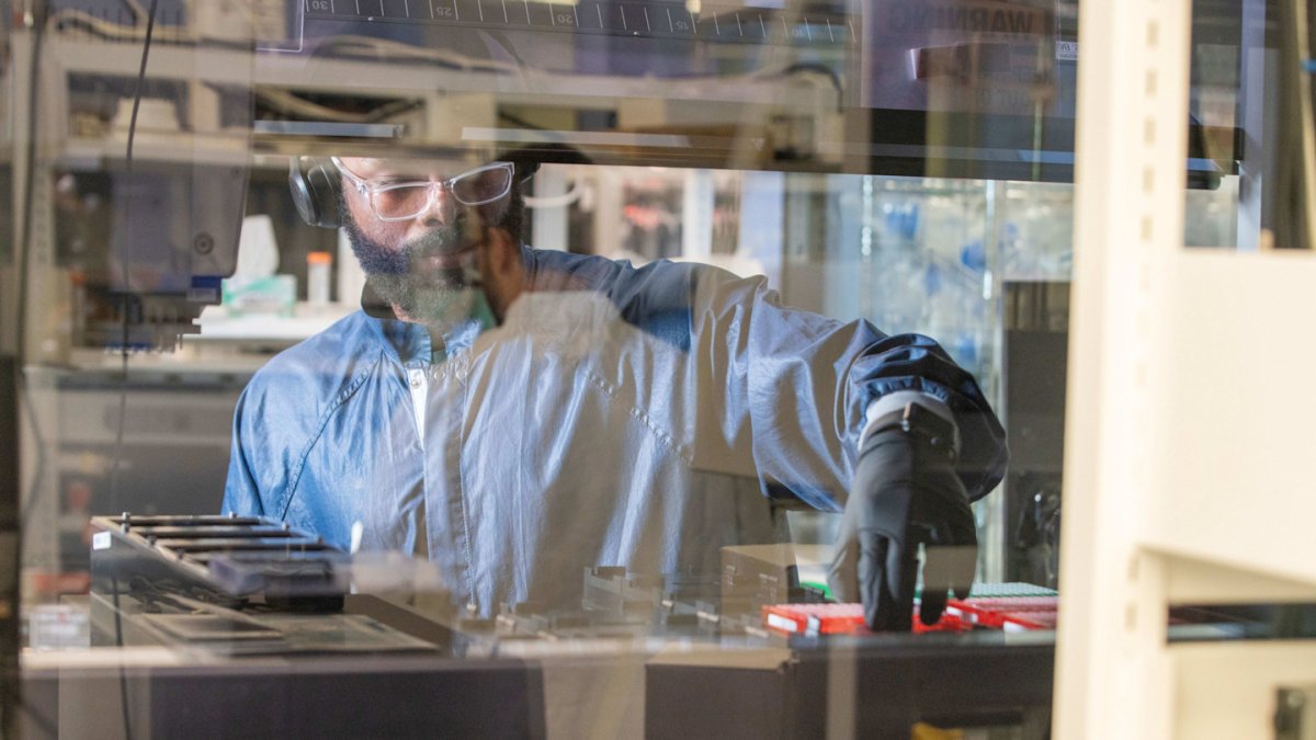 Las acciones farmacéuticas se disparan a medida que los inversionistas buscan alternativas basadas en la IA