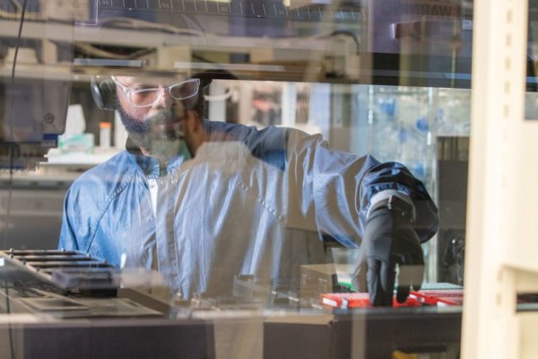 Las acciones farmacéuticas se disparan a medida que los inversionistas buscan alternativas basadas en la IA