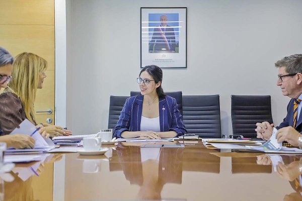 Francisca Toledo, ministra del Medio Ambiente (al centro), preside el Comité de Ministros.