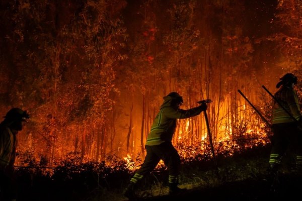 Biobío adelanta en un mes inicio de medidas de prevención de incendios forestales ante un verano marcado por altas temperaturas de El Niño