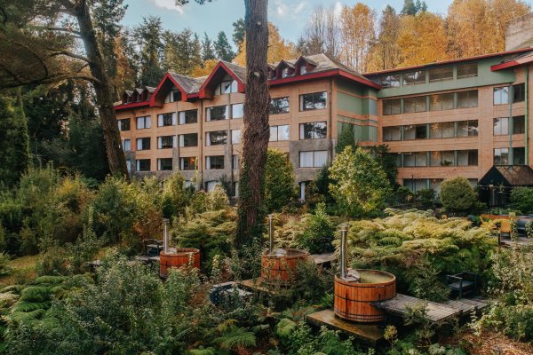 Hotel Puerta del Sur busca rentabilizar los humedales de Valdivia para desarrollar un turismo de toda temporada
