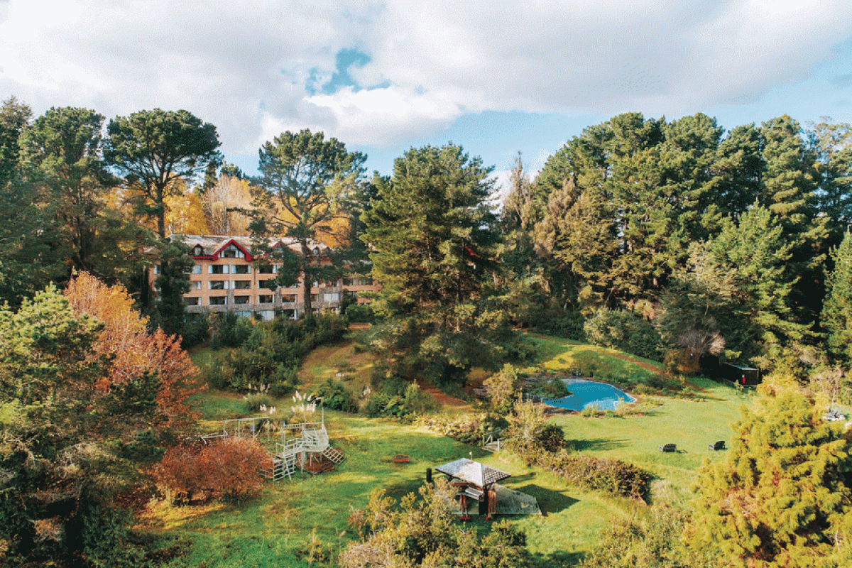 Hotel Puerta del Sur busca rentabilizar los humedales de Valdivia para desarrollar un turismo de toda temporada