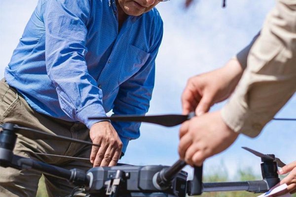 Con uso de IA, agricultura podría optimizar el uso de agua para cultivos en períodos de escasez hídrica