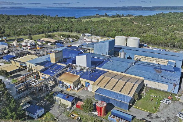 Grupo alemán entra a firma salmonera Fiordo Austral con casi el 40% de la propiedad