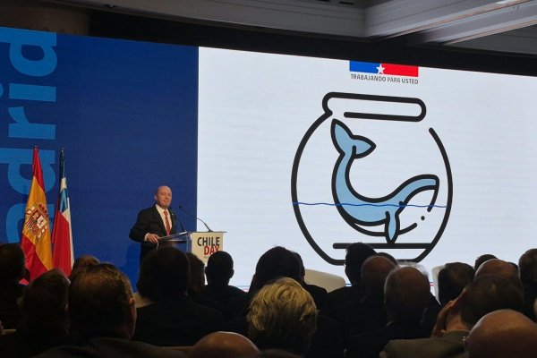"Se redujo el agua en la pecera y hoy el mercado de capitales tiene una ballena, que es el Gobierno. Y además a la ballena hay que mantenerla a dieta", graficó Quiroz.