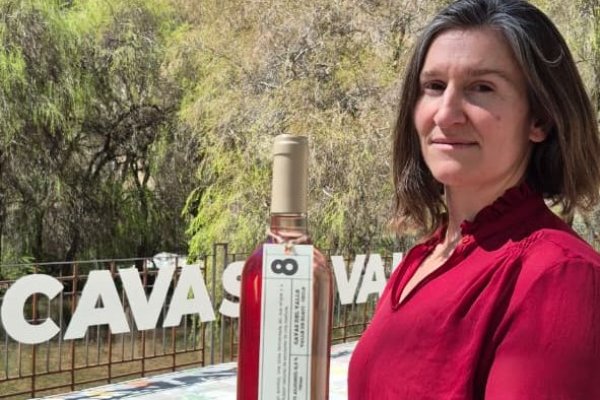 Viña Cavas del Valle, en Elqui, apuesta por nueva categoría de vinos de bajo alcohol para apuntar a un grupo más amplio de consumidores