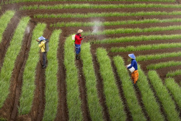 China y Estados Unidos discuten la reducción de aranceles en los sectores de agricultura y energía