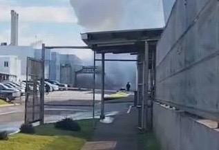 Explosión en el sector de calderas de la planta de Colún en La Unión deja a un trabajador lesionado