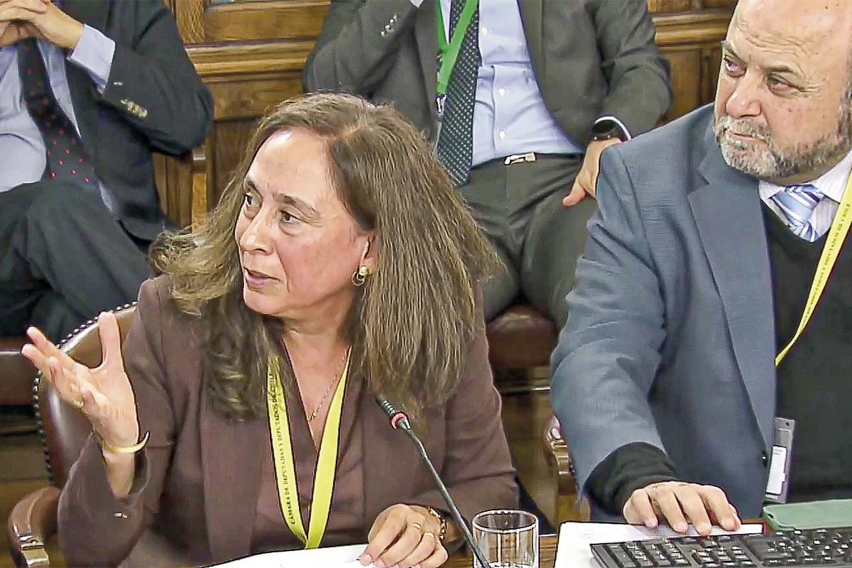 María Paz Hidalgo, presidenta de la AFC Chile.