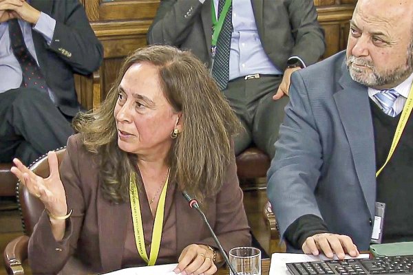 María Paz Hidalgo, presidenta de la AFC Chile.