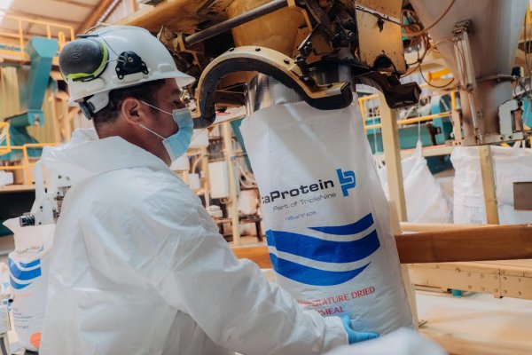 Lota Protein obtiene sello HuellaChile por disminución de emisiones en su proceso productivo