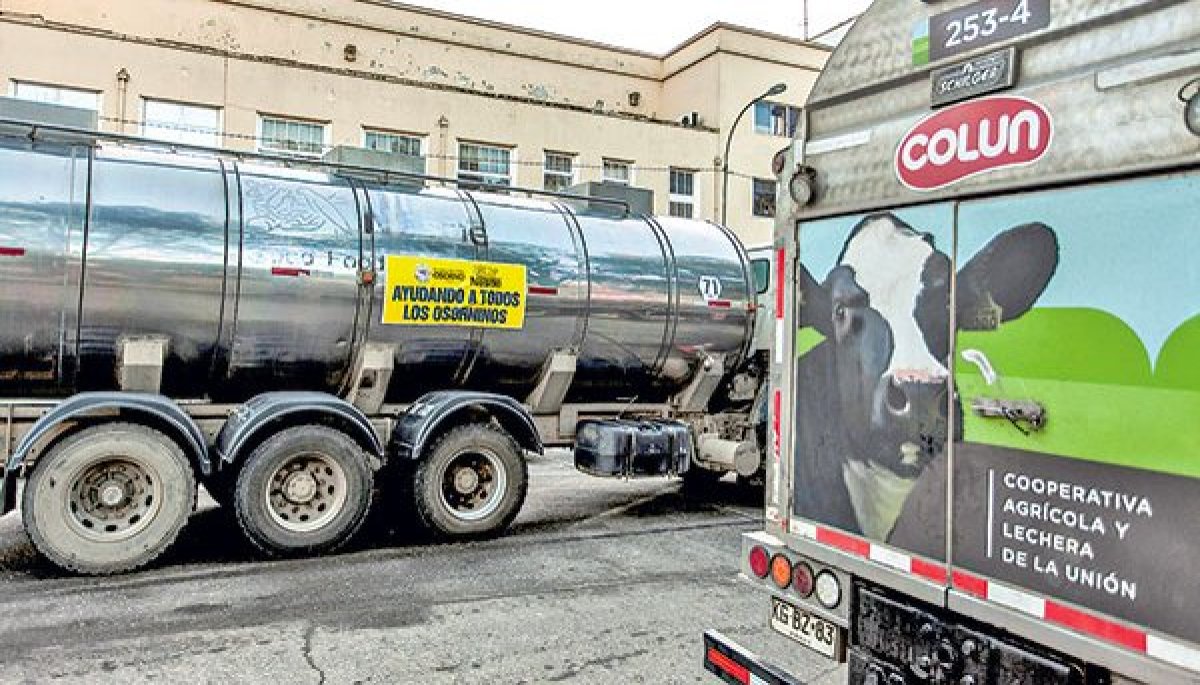 Escala conflicto entre una importante productora lechera y Colun: podrían expulsarla de la cooperativa