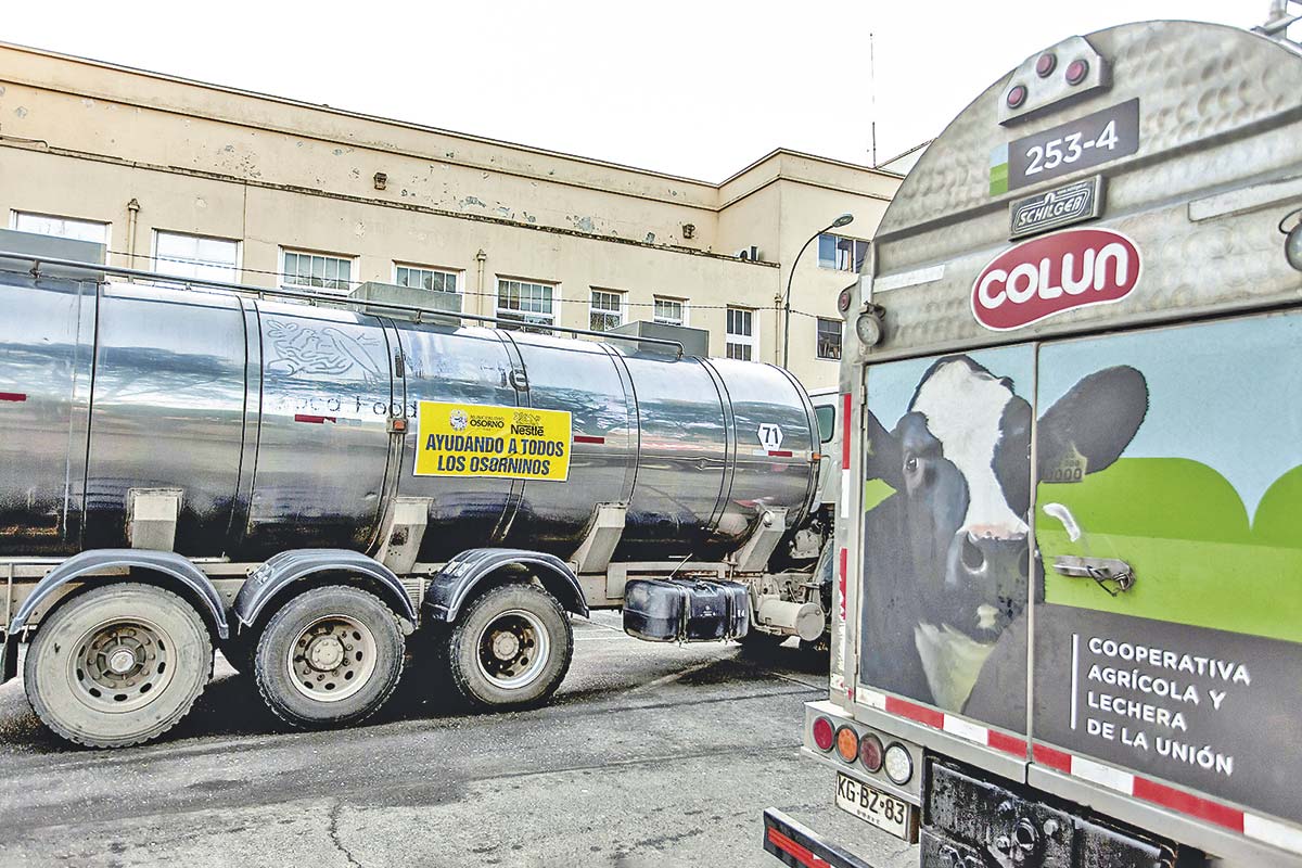 Tribunal de La Unión frena exclusión de productora lechera de Colun a días de junta clave