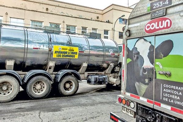Escala conflicto entre una importante productora lechera y Colun: podrían expulsarla de la cooperativa