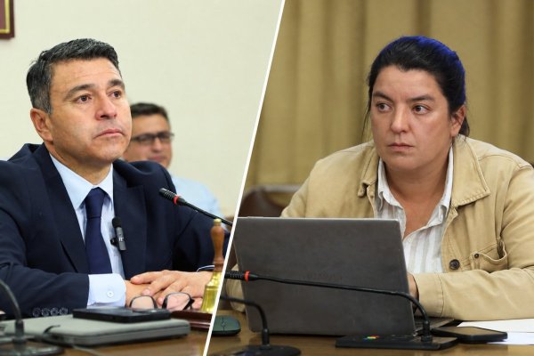 El diputado de la UDI integrante de la Comisión de Economía de la Cámara, Marco Antonio Sulantay, junto con la diputada independiente en la bancada, Natalia Romero.