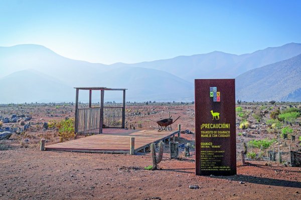 Andes Iron cambia su estrategia y desiste de su recurso ante la Corte Suprema por Minera Dominga