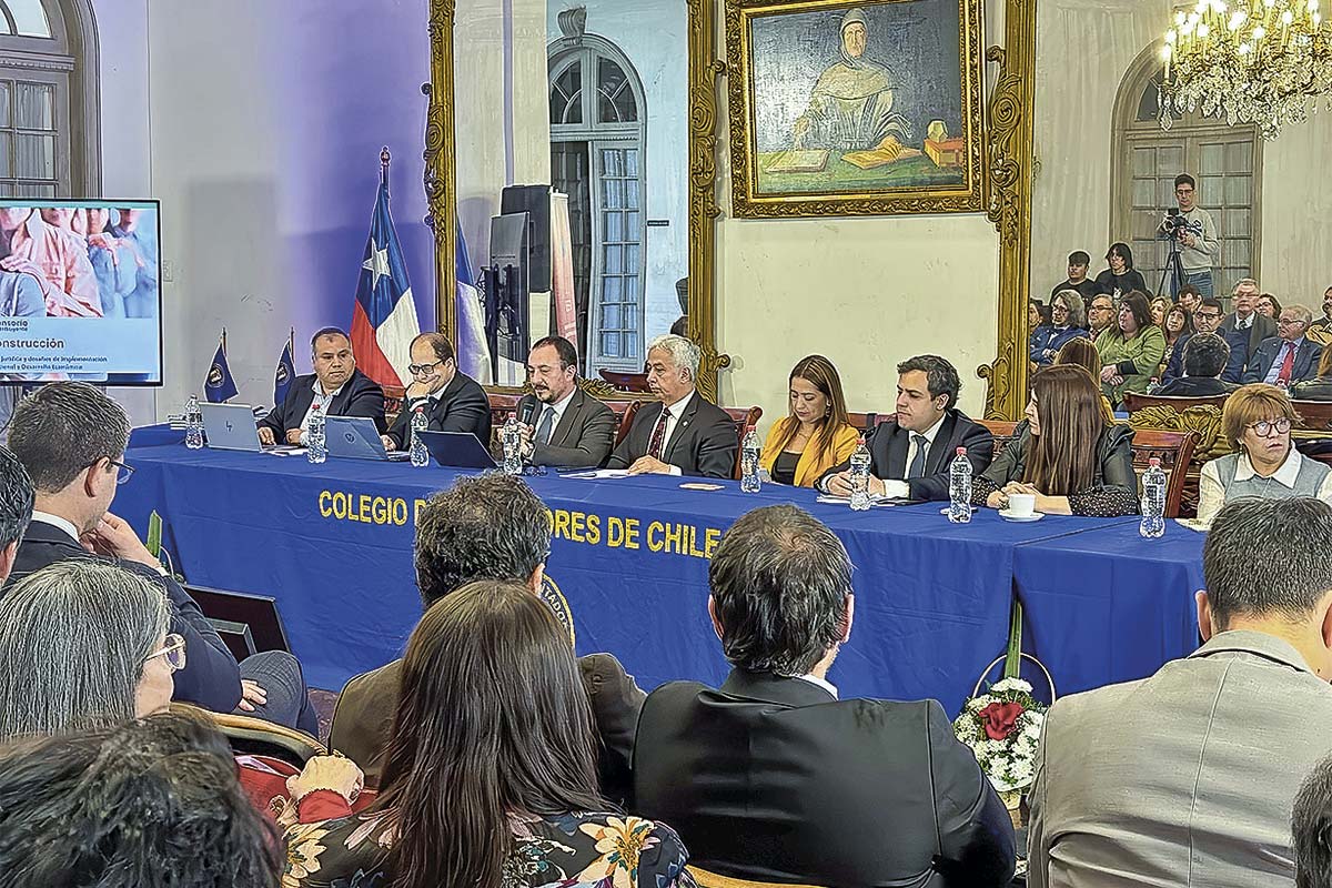 Los principales desafíos para implementar la norma, según el SII, la Tesorería y la Dedecon