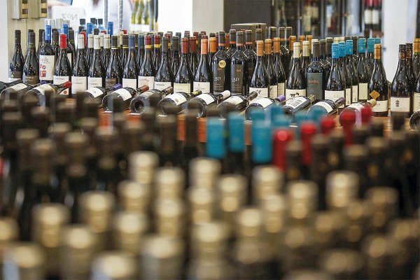 Vinos de bajo alcohol: Gobierno fija las reglas para producir y comercializar la nueva categoría