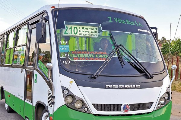 Tras la muerte de Reinaldo Sánchez, su hijo Andrés asume presidencia de Viña Bus y lidera conformación de un holding para ordenar el imperio familiar
