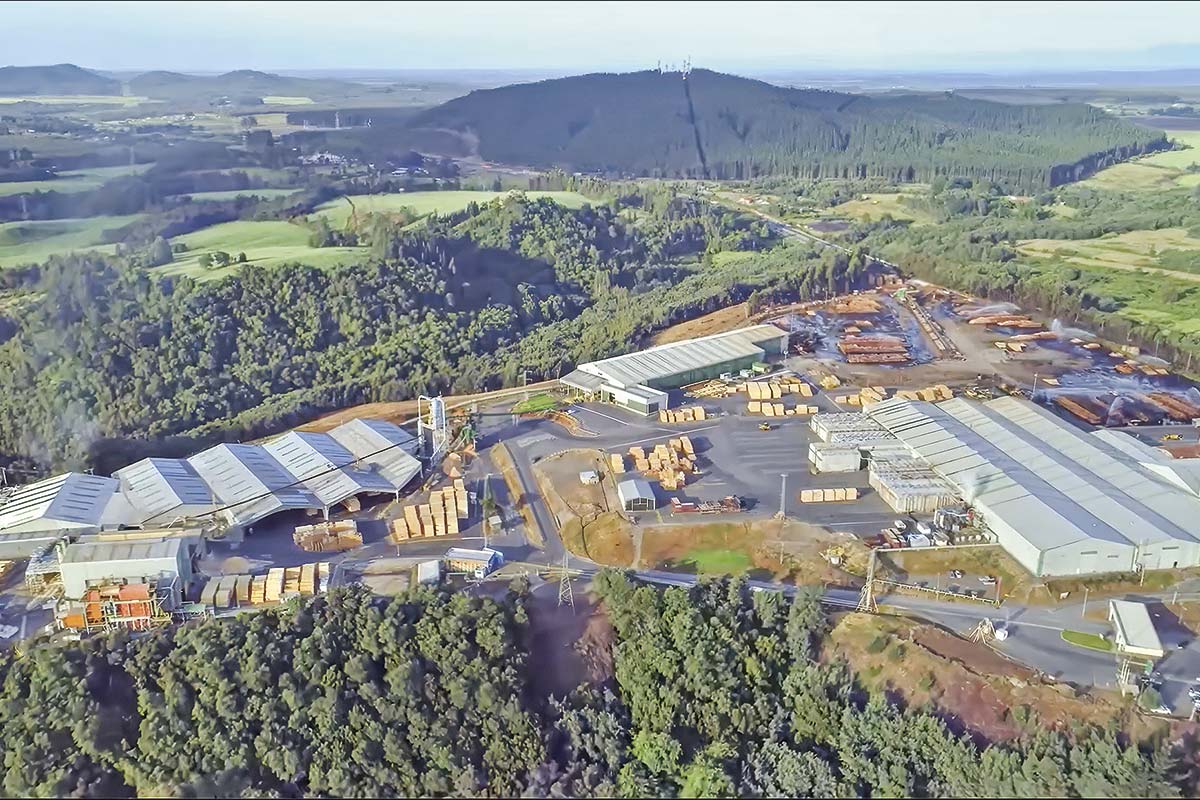 CMPC refuerza operaciones en Biobío con más de US$ 90 millones en medio de reorganización de negocios
