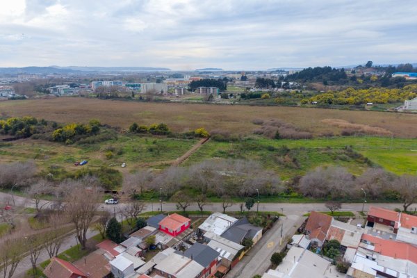 Foto: Municipalidad de Concepción