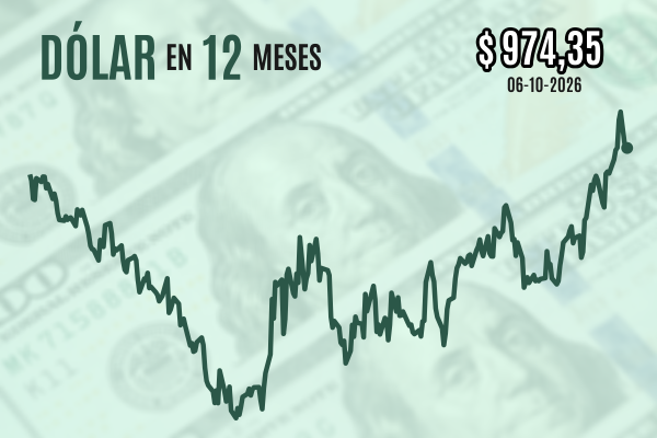 Dólar revierte su caída matinal y cierra con leve alza sobre $ 970 tras agotarse el efecto inicial del programa de licitaciones de Hacienda