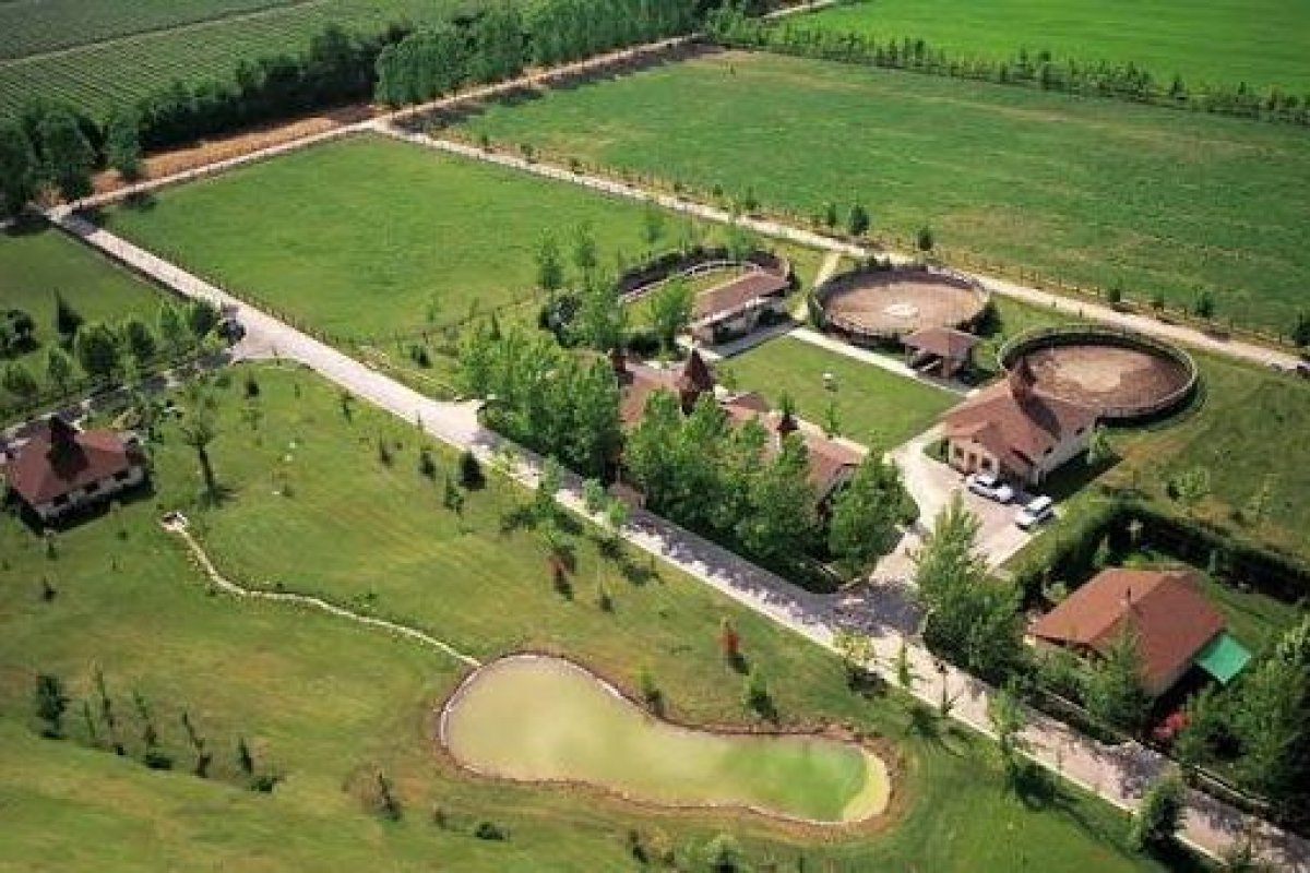 Haras Santa Mónica alberga 90 animales en sus instalaciones.