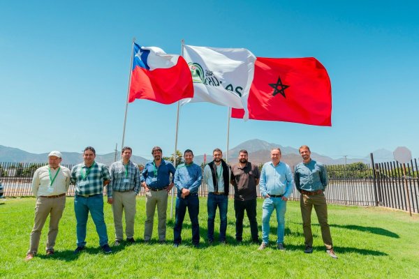 Grupo Hijuelas se asocia con empresa del rey de Marruecos para producir plantas frutales en África