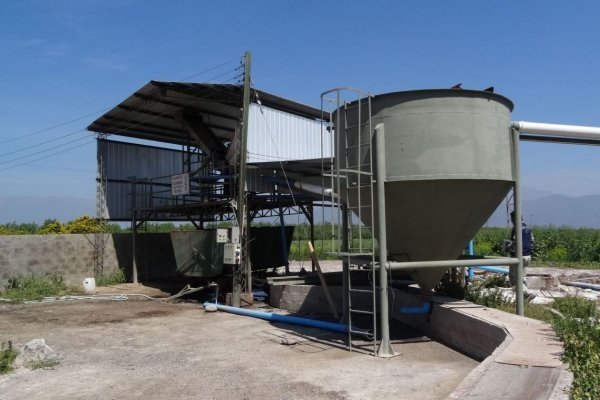 Tribunal Ambiental rechaza demanda contra Agrícola Los Tilos, pero ordena evaluación ambiental de plantel en Talagante