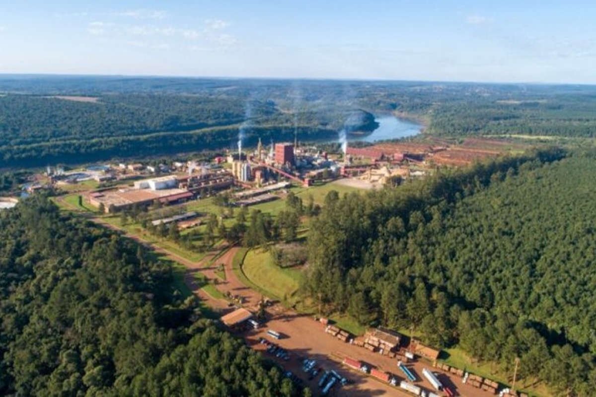 Arauco planea vender activos en Argentina