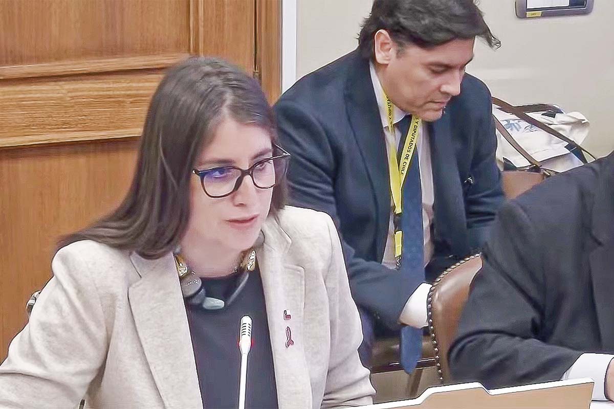 Romina Garrido en la instancia parlamentaria este martes.
