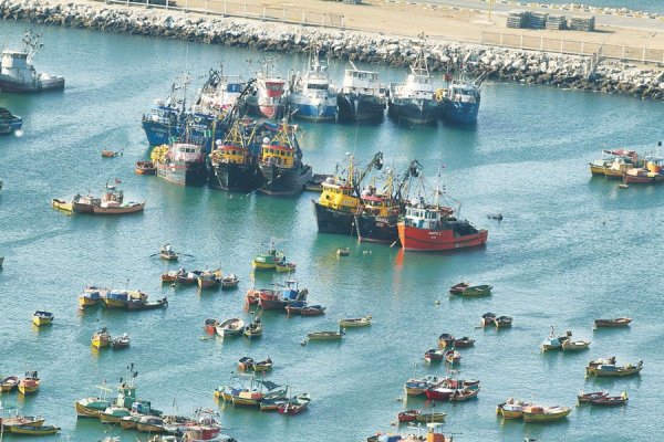 Crisis por El Niño golpea a Corpesca y Camanchaca: capturas de anchoveta marcan cero y proveedores temen quiebras
