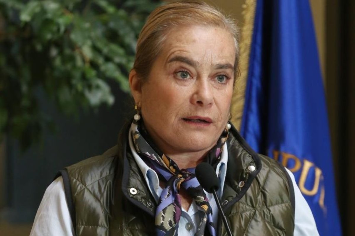 Diputada Flor Weisse (UDI) cuestiona ingreso de las AFP al ahorro habitacional: “Si existe un beneficio adicional que aportarían, al entrar a este mercado, que lo demuestren”