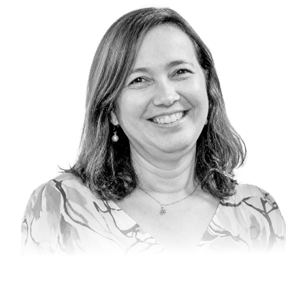 MK4 y la institucionalidad que sostiene el mercado