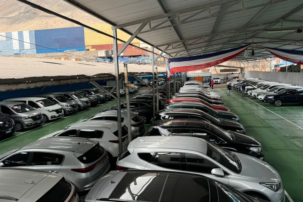 Zofri y Chileautos sellan alianza para llevar oferta de unas 400 automotoras a una vitrina digital