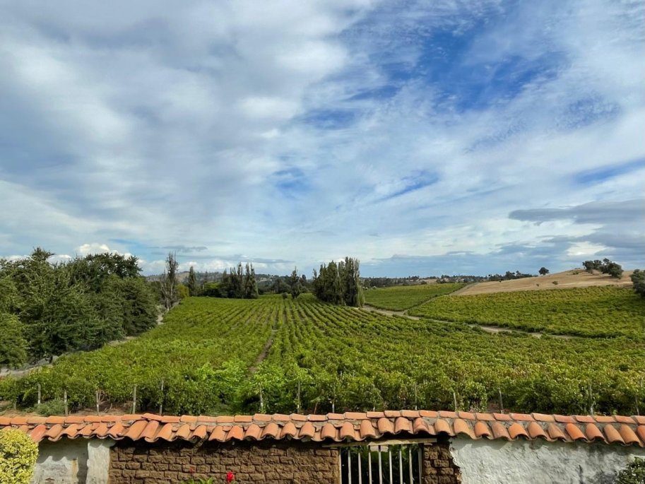Viñateros del Itata desarrollan sello de calidad para certificar la identidad productiva del valle y fortalecer sus exportaciones