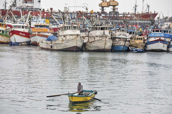 Pesqueras peruanas ajustan costos y operaciones ante paralización que podría extenderse hasta 2027